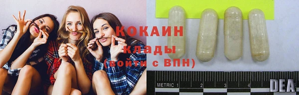 прущие крисы Балахна