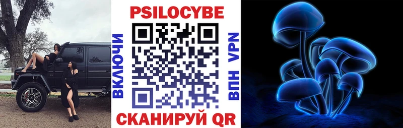 Псилоцибиновые грибы Cubensis  Новосиль 