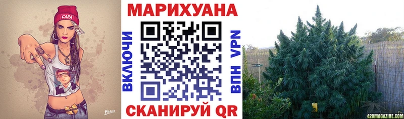 Канабис гибрид  MEGA   Новосиль  купить  цена 